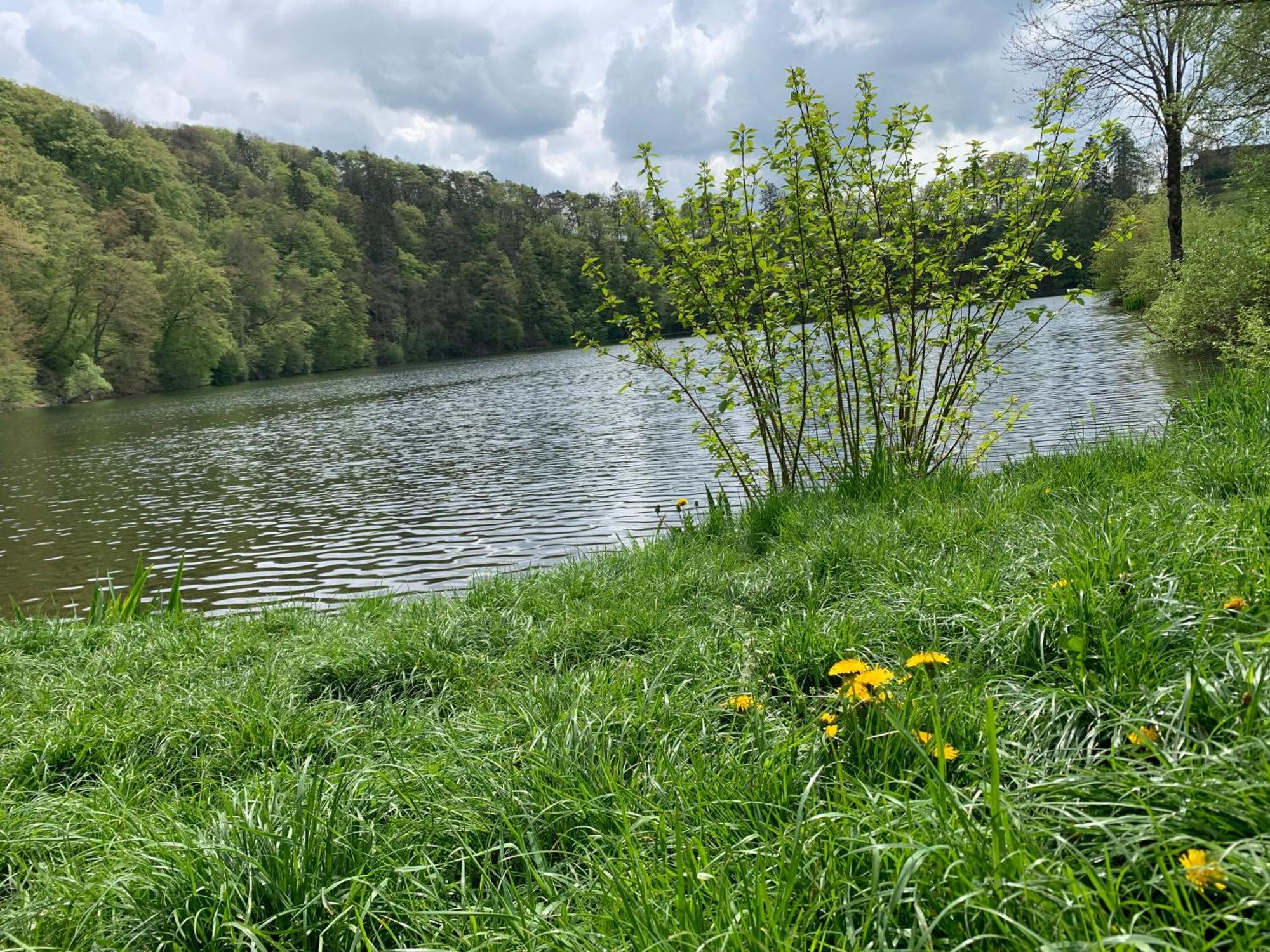 Ritterstube - Eifelstuben Mit Charme, Naehe See Und Burg, Aussergewoehnlich, Vulkaneifel Ulmen Luaran gambar